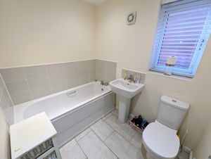 Photo 15- click for photo gallery